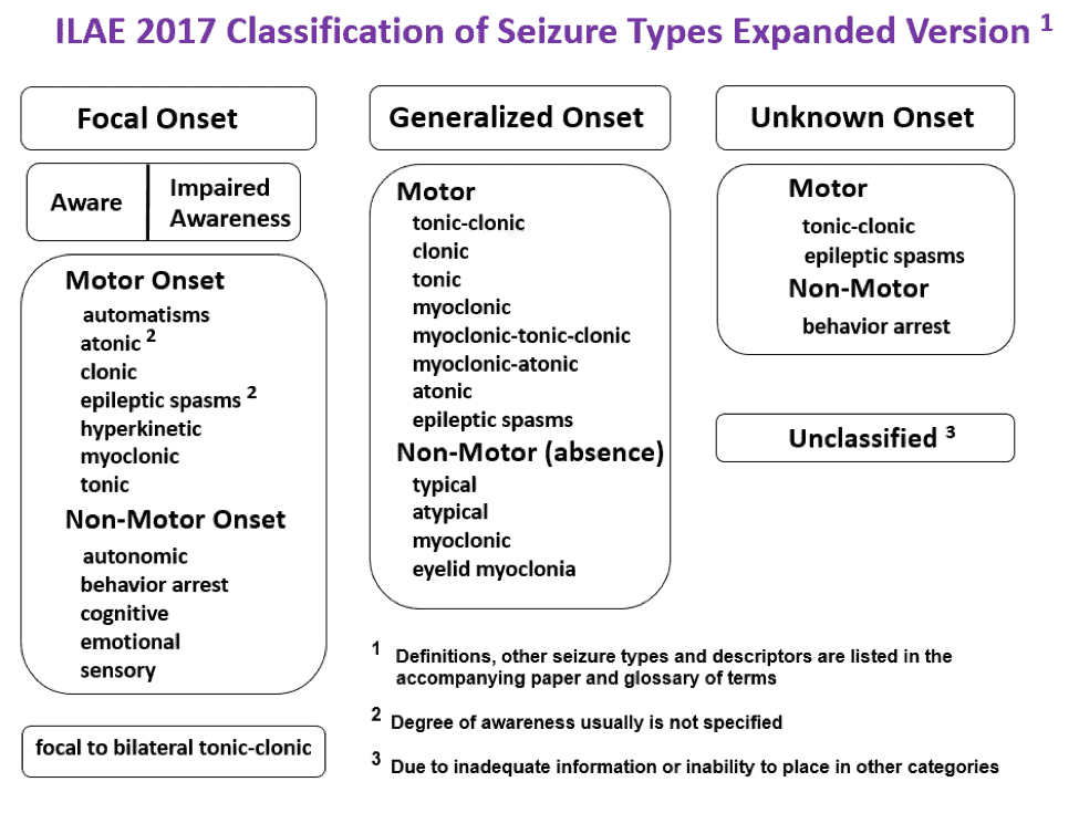ILAE 2017 Classification of Seizure Types Expanded Version